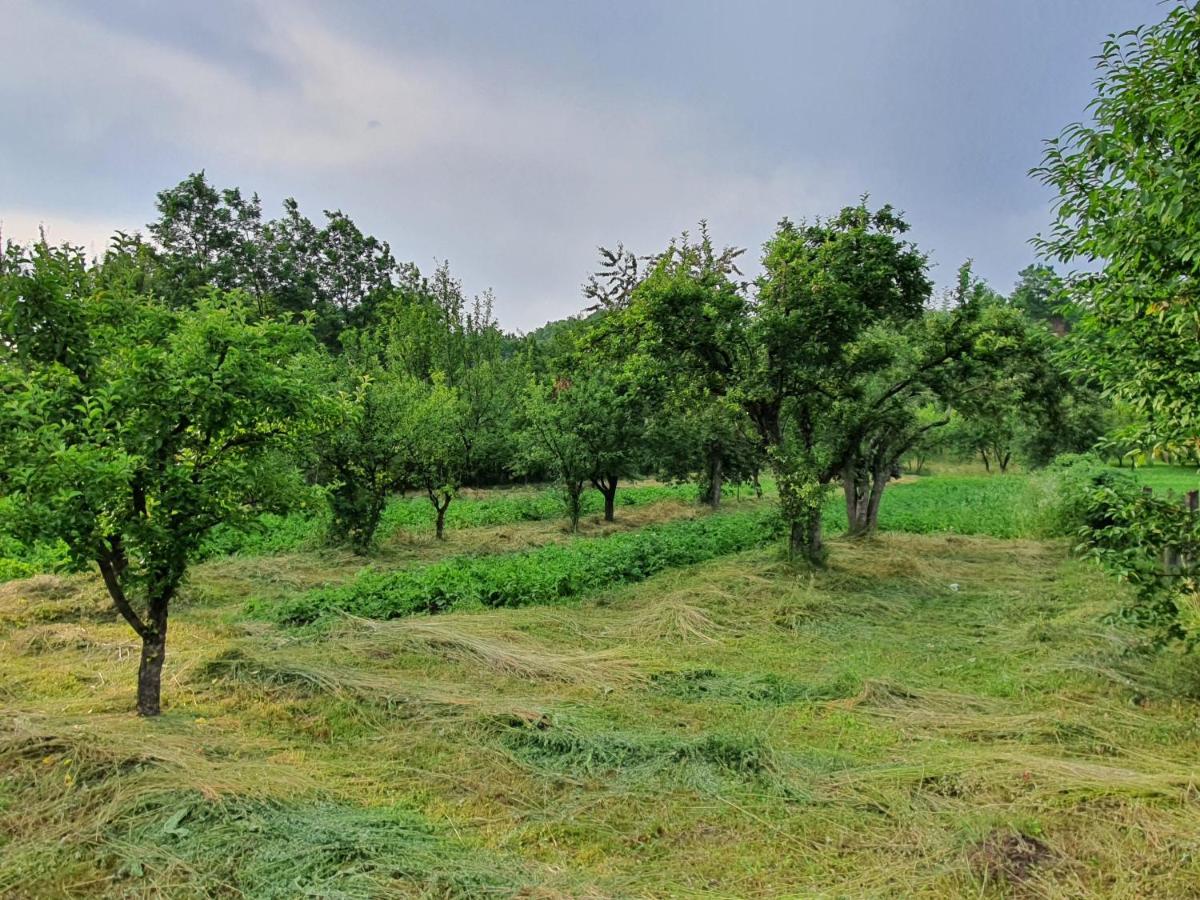 Livada Lui Papu Villa Izvoarele  Exteriör bild